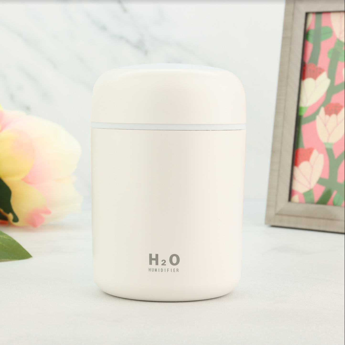 AirPro Ultrasonic Mini Humidifier