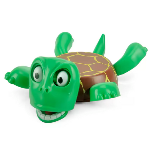 This 3D-printed turtle coaster As seen on TikTok